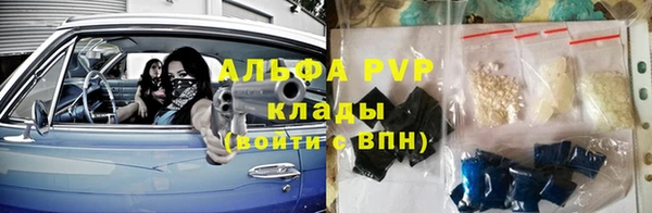 молекула духа Богданович