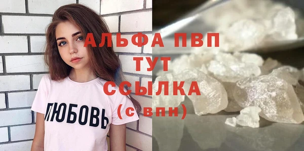 молекула духа Богданович