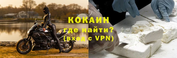 молекула духа Богданович