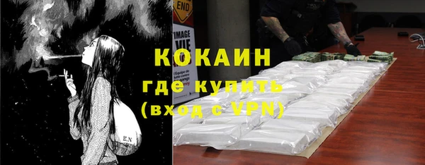 молекула духа Богданович