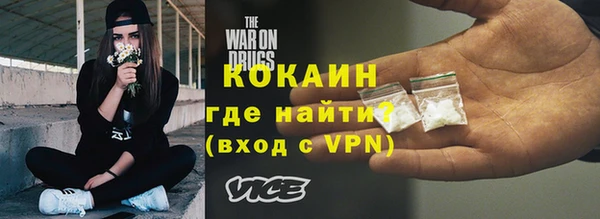 молекула духа Богданович