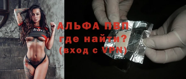 молекула духа Богданович