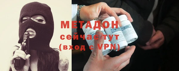 молекула духа Богданович