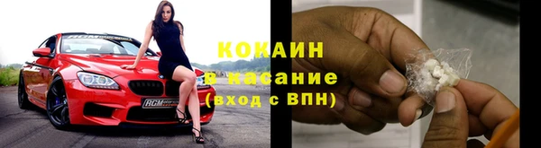 молекула духа Богданович