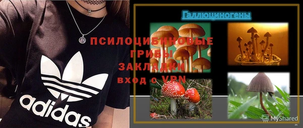 МДПВ Богородицк