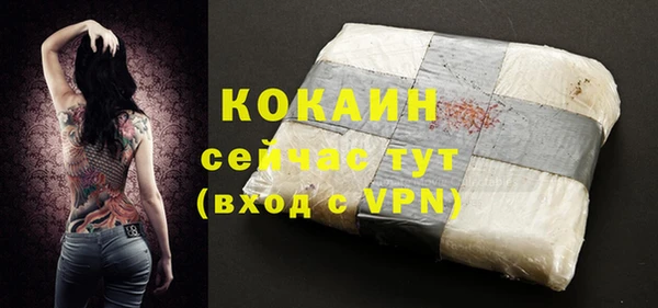 молекула духа Богданович